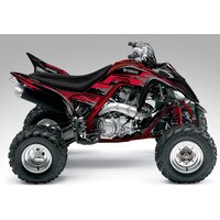 YAMAHA ATV YFM 250 R 2007-2009